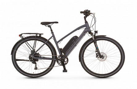 Elektrische fiets 28" Prophete E-Bike Entdecker 20.EST.10, 374.5Wh DT, grijs