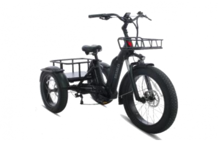 DIABLO E-BIKE, BIG FOOT, MATT-BLACK, 2x 1000692 ACCU 48V 10.4AH  499,2WH