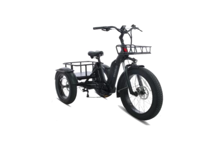 DIABLO E-BIKE, BIG FOOT, MATT-BLACK, 2x 1000692 ACCU 48V 10.4AH  499,2WH