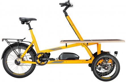 chike Electric cargo bike e-Cargo №1 16"-20"/50cm/5
