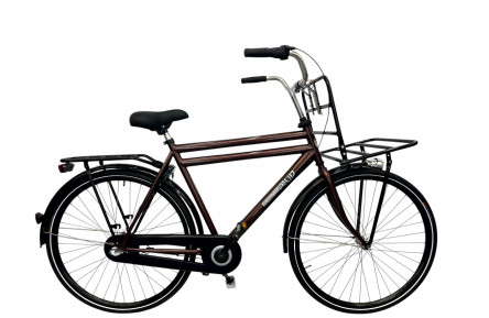 Man's bicycle Sparta Pick UP bronze/m/al/28/tr