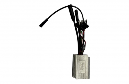 CONTROLLER FOLDING EASY/Model Fiets: EASY GO/Type Fiets: E-BIKES/KZQW22A3-AEQ-AKM9520C DC36V G22A3AL8A05158