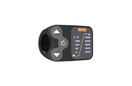 BAFANG DP E12 Display
