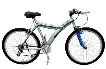 Mountain bike Gazelle Impulse 26"/48cm/gray