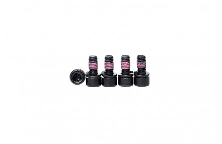 Bafang M5x10 hex star bolt (set of 5)