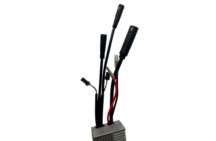 E-bike motor controller Ananda MC5-B0 P205 36V 250W V-brake