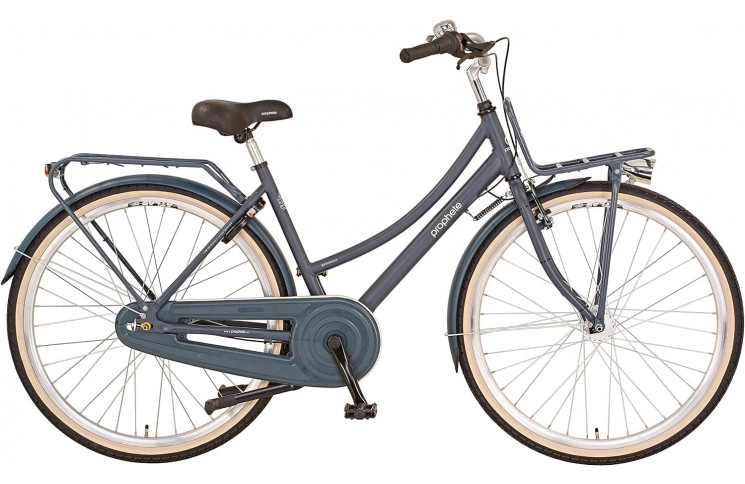 Woman's bike 28" Prophete Genieser 20.BTC.20, 48, grey