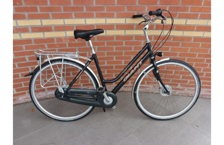 Sportieve damesfiets Giant Freerider Lite