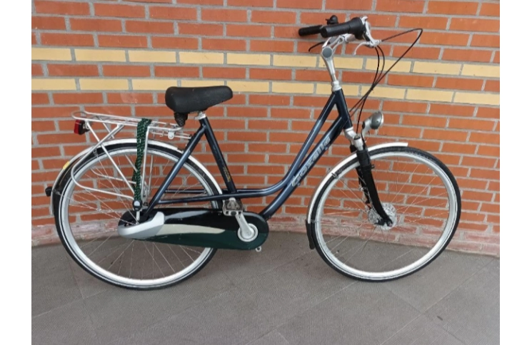 Woman's bicycle Gazelle Davos