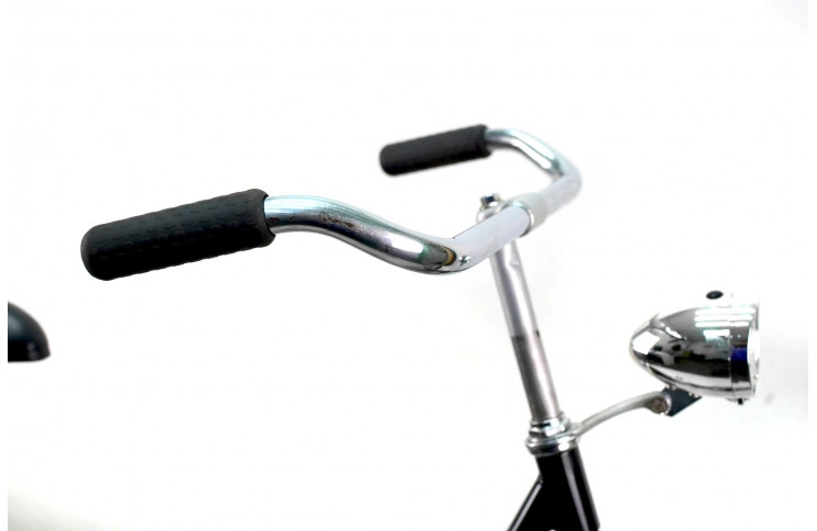 Woman`s bike Pelikan Dutch Classic