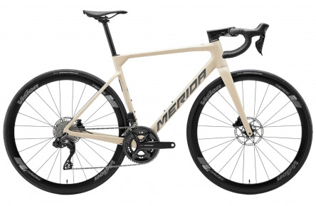SCULTURA 5000 SILK VANILLA(SILVER)