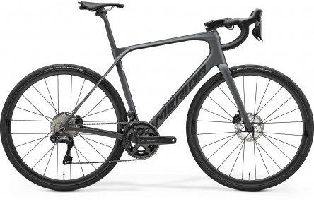 Merida SCULTURA ENDURANCE 8000 SILK DARK SILVER/BLACK L