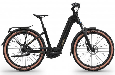 CONWAY Electric SUV Cairon C 1.0 B RBN 800 №1 27.5"/41cm-S/8/black - gold/02811038