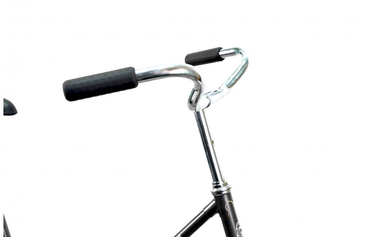 Woman`s bike Gazelle Modelief