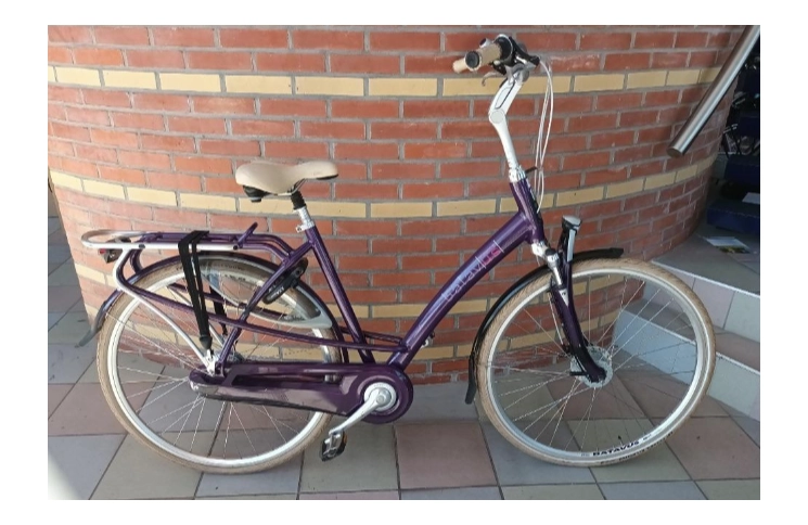 Woman's bicycle Batavus Inspire