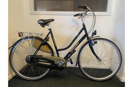 Woman's bicycle Dawes Weston