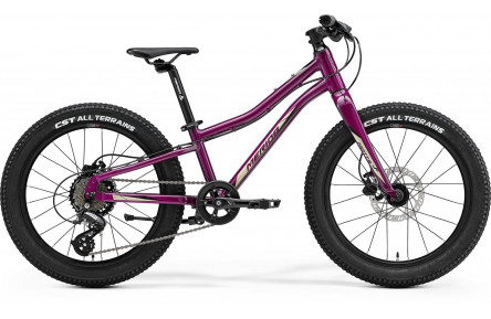 Merida MATTS J.20+ PURPLE/BLACK/CHAMPAGNE 10"