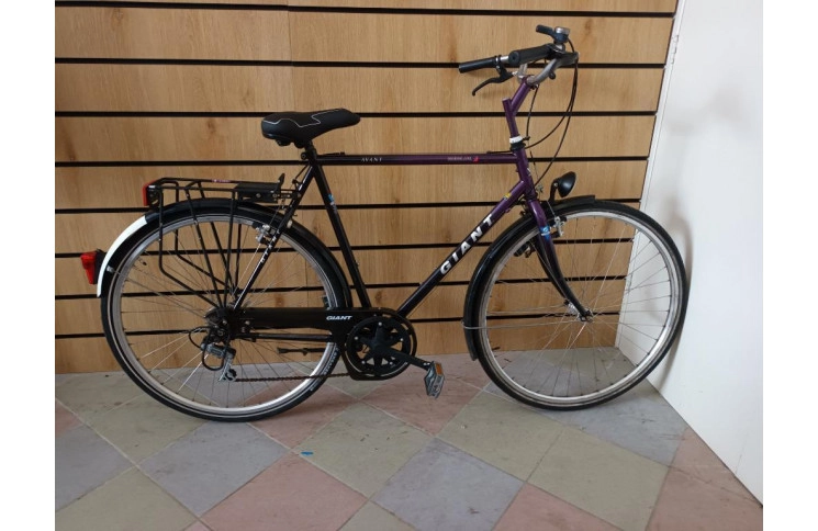 Sportieve herenfiets Giant Avant