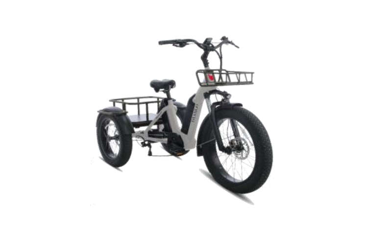 DIABLO E-BIKE, BIG FOOT, FASHION GREY, 2x 1000692 ACCU 48V 10.4AH 499,2WH