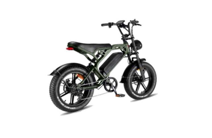 DIABLO E-BIKE, E-ONE, MATT-GREEN, 1000819 ACCU 15AH 48V 720WH