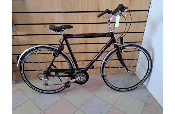 Sporty man's bicycle Giant Cabriolet