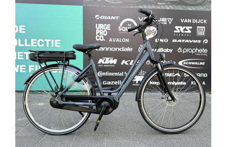 E-Bike Trenergy Aveiro 28"/50cm/grijs