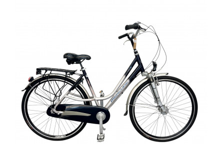 Women's bicycle Mercury Limited Edition 28" 50 gray-blue