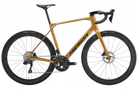SCULTURA ENDURANCE 6000 MINERAL GOLD(BLACK)