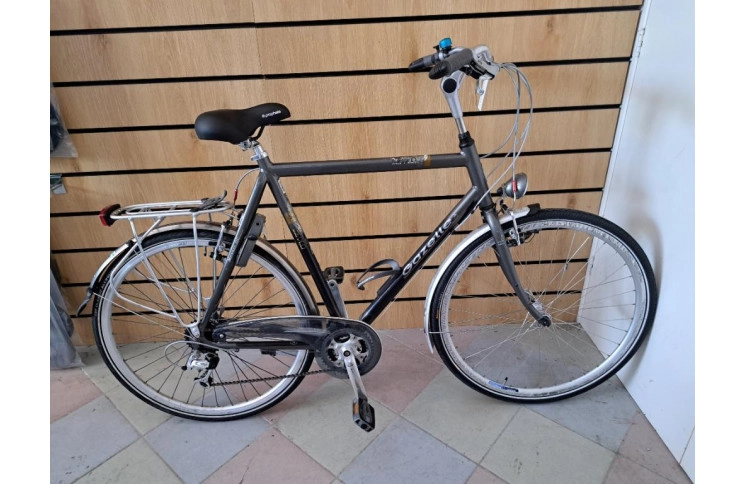 Sporty man's bicycle Gazelle Medeo