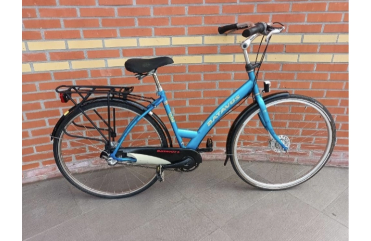 Woman's bicycle Batavus Live