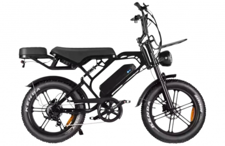 QM V20 PRO Luxury Full Option - black - electric fatbike