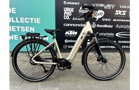 E-Bike VANDIJCK 28"/46cm/Gold/36V 25.4Ah 882Wh Li-ion